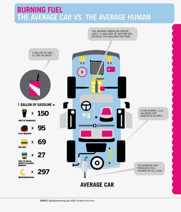 Car vs Man from OnlineSchools.Org
