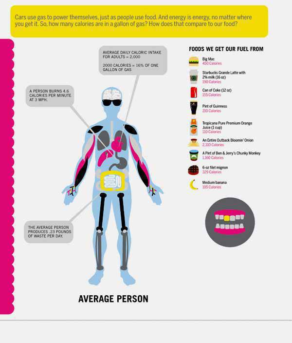 Car vs Man from OnlineSchools.Org