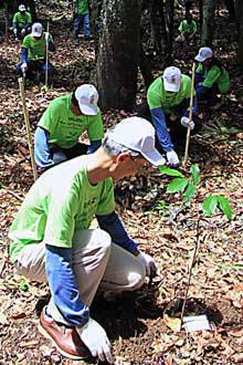 TopGear.com.ph Philippine Car News - Isuzu's Adopt-a-Forest Campaign