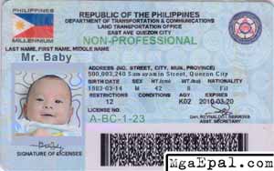 Fake Driver's License