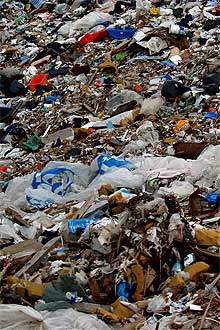 Garbage photo from SXC.hu