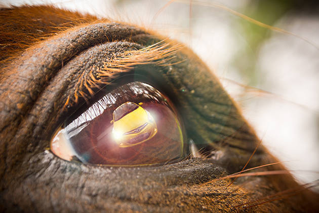 Car photography tips: What makes a great car photo?