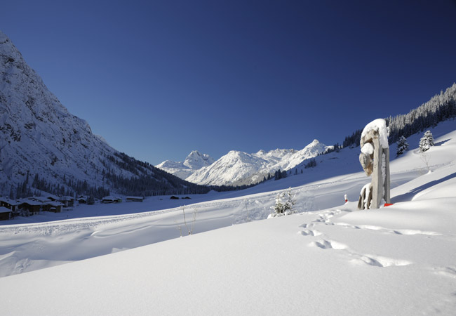 Sebastian Vettel photo for charity