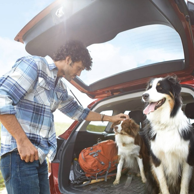 Subaru USA on Instagram