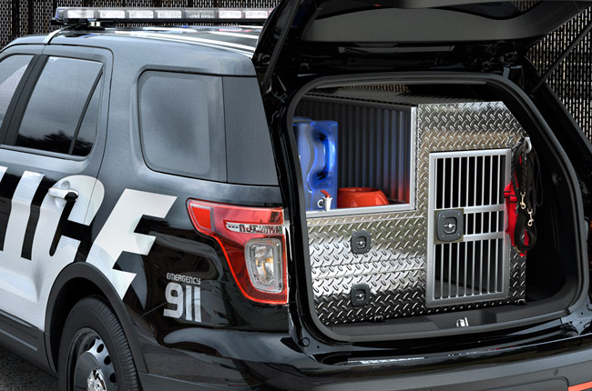 Ford Police Interceptor