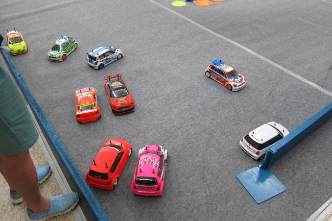 Tamiya Cup 2014