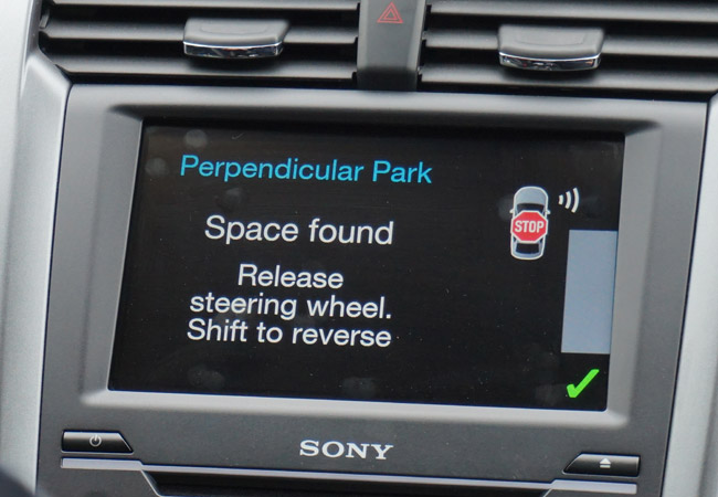 Stephanie Asi and Ford in Australia