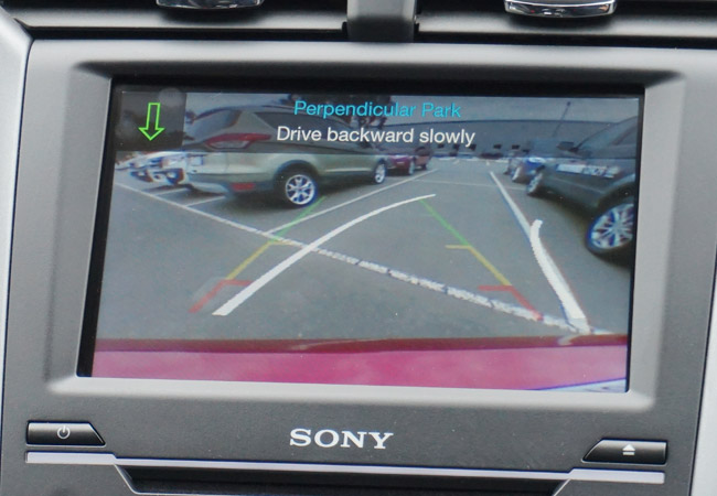 Stephanie Asi and Ford in Australia