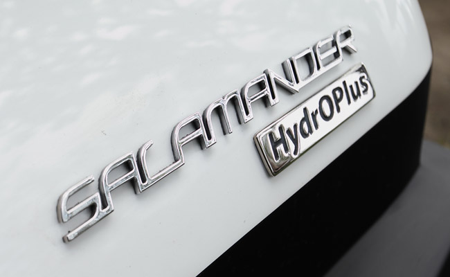 Salamander Amphitrike