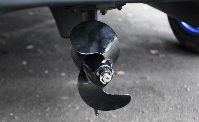 Salamander Amphitrike