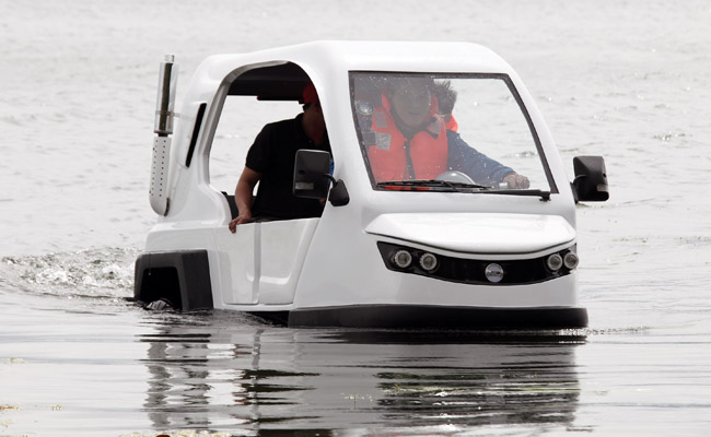 Salamander Amphitrike