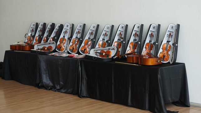 Volkswagen PH violin turnover
