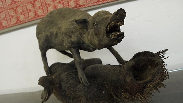 Peugeot: Cars, coffee and art