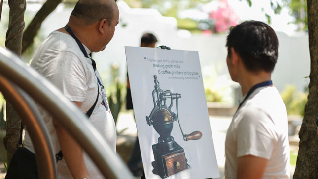 Peugeot salt and pepper mills