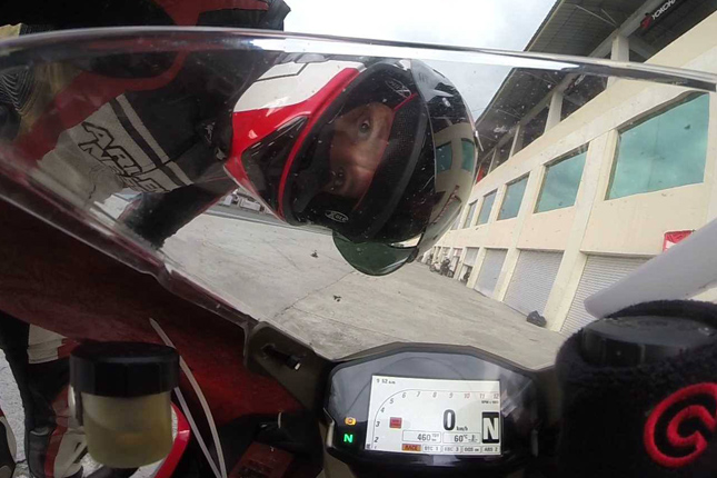 Superbike bird collision Superbike bird collision