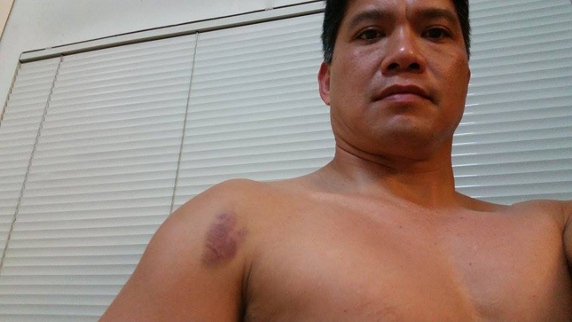 Superbike bird collision Superbike bird collision