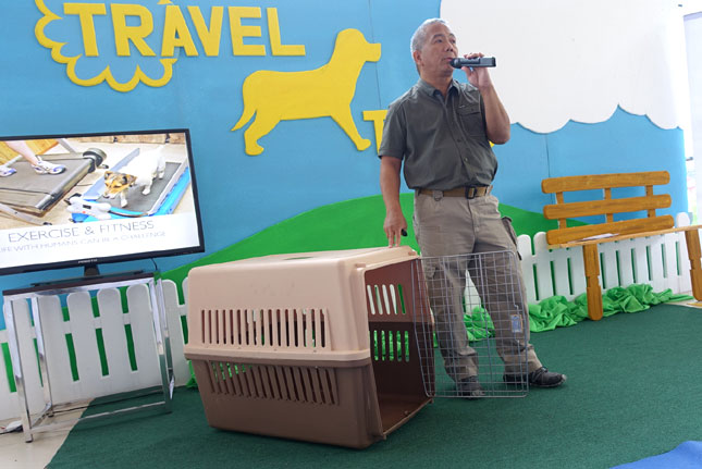 Safe tips: Dogs in cars