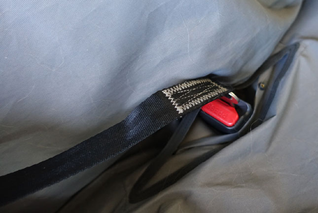 Safe tips: Dogs in cars