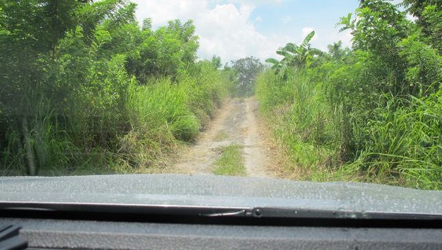 All-new Toyota Hilux