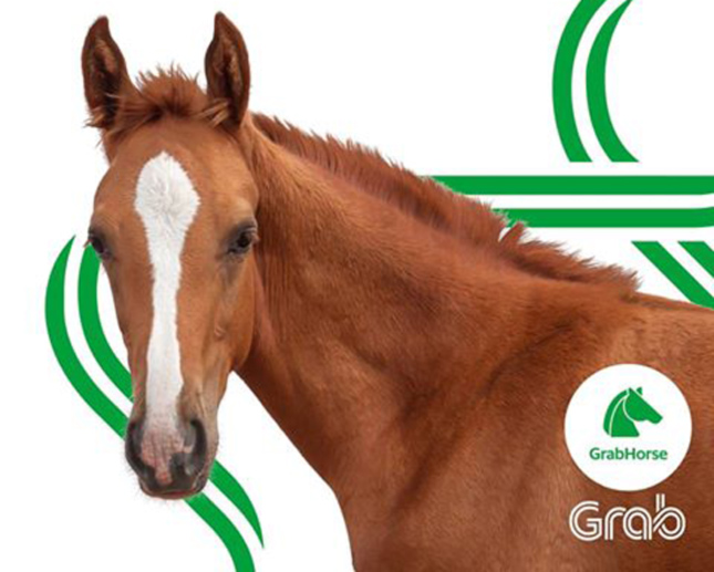 GrabHorse