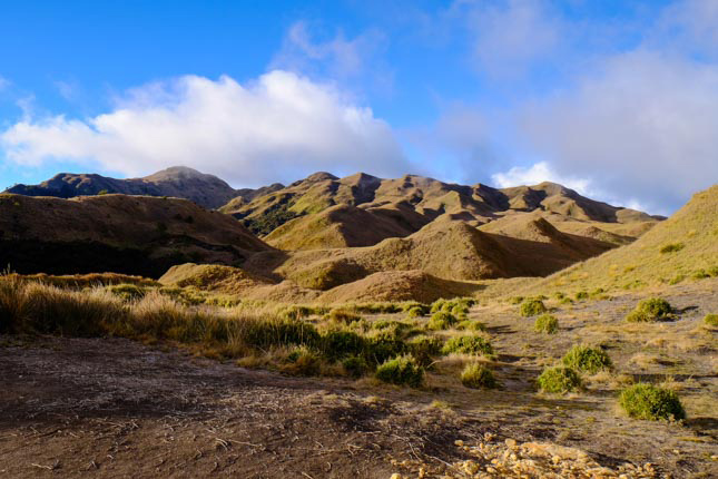 Isuzu D-Max in Mt. Pulag