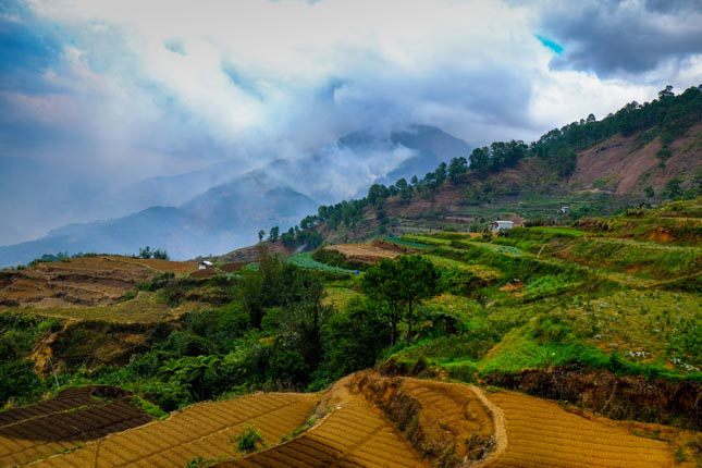 Isuzu D-Max in Mt. Pulag