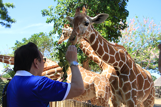 Isuzu MU-X in Palawan