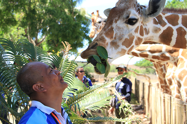Isuzu MU-X in Palawan