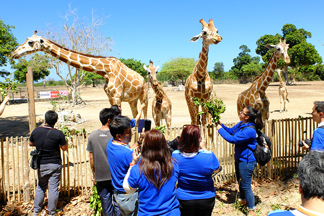Isuzu MU-X in Palawan