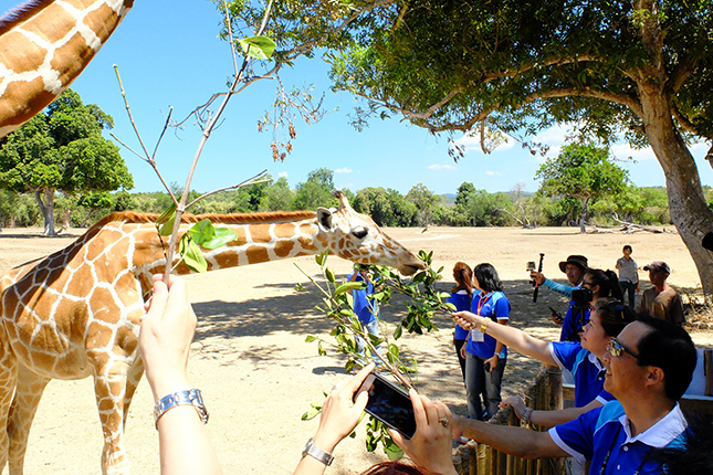 Isuzu MU-X in Palawan