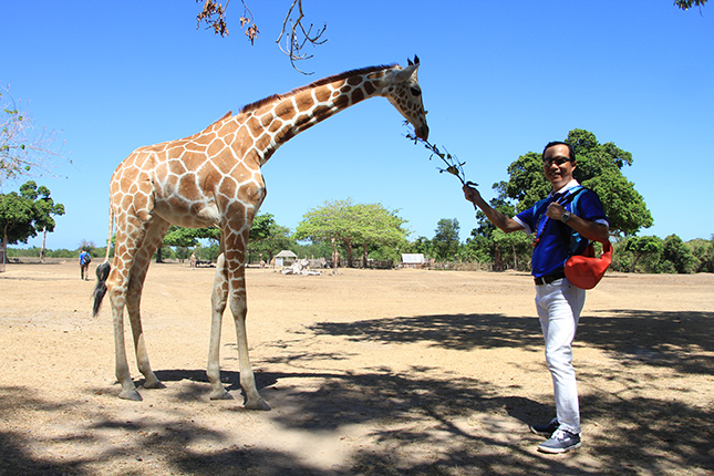 Isuzu MU-X in Palawan