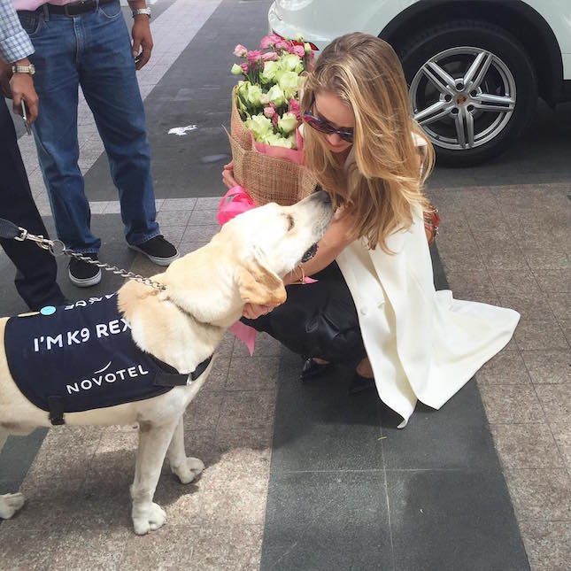 Miss Universe - Porsche