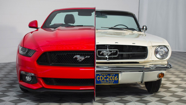 Mustang 50th anniversary display
