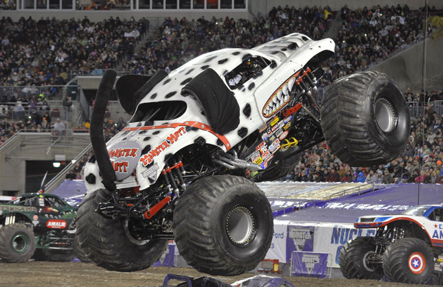 Monster Mutt Dalmation
