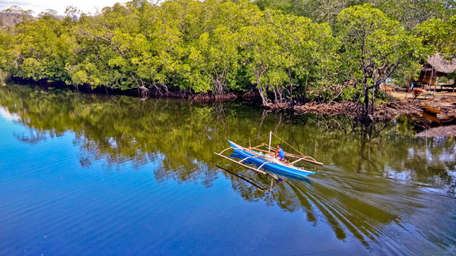 Dundee Adriatico photo