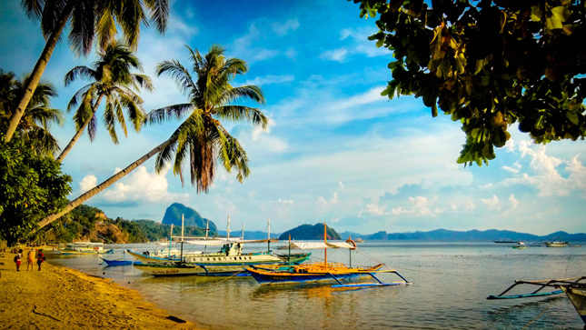 Dundee Adriatico photo